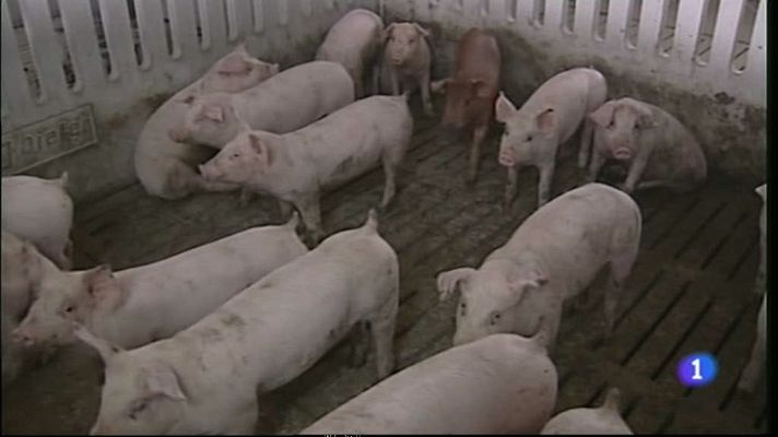 Noticias Aragón - Noticias Aragón - 13/09/12