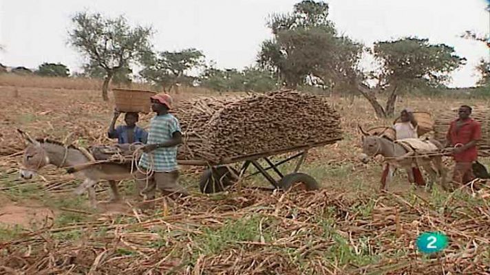 Mundo Dogón (Mali)