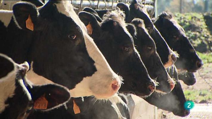 Agrosfera - Agrosfera - 15/09/12