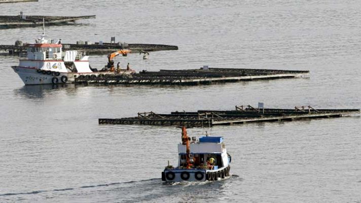 Telediario 1 - Naufragio de un pesquero en Galicia