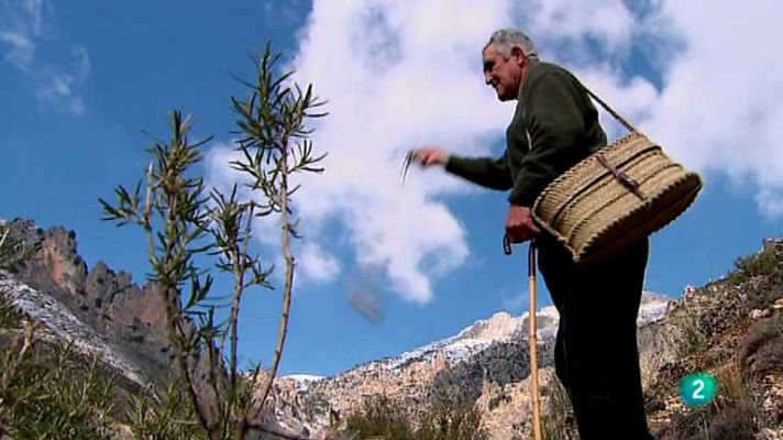 Biodiario - Biodiario - 18/09/12