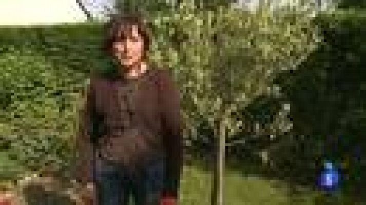 Españoles en el mundo - Bretaña - Esther