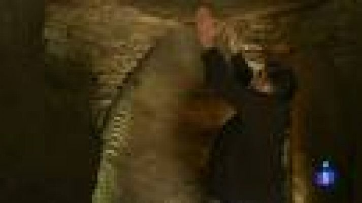 Españoles en el mundo - Bretaña - Lisardo