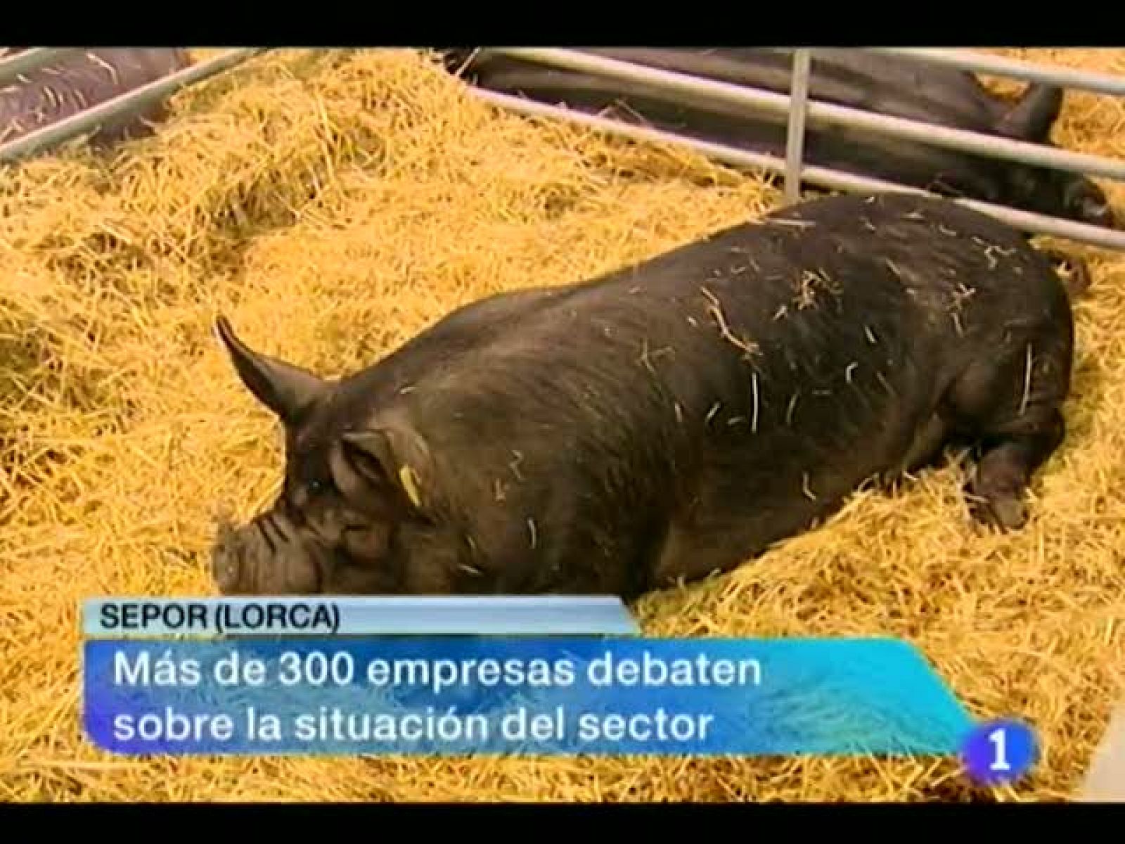 Noticias Murcia: Noticias Murcia.(19/09/2012). | RTVE Play