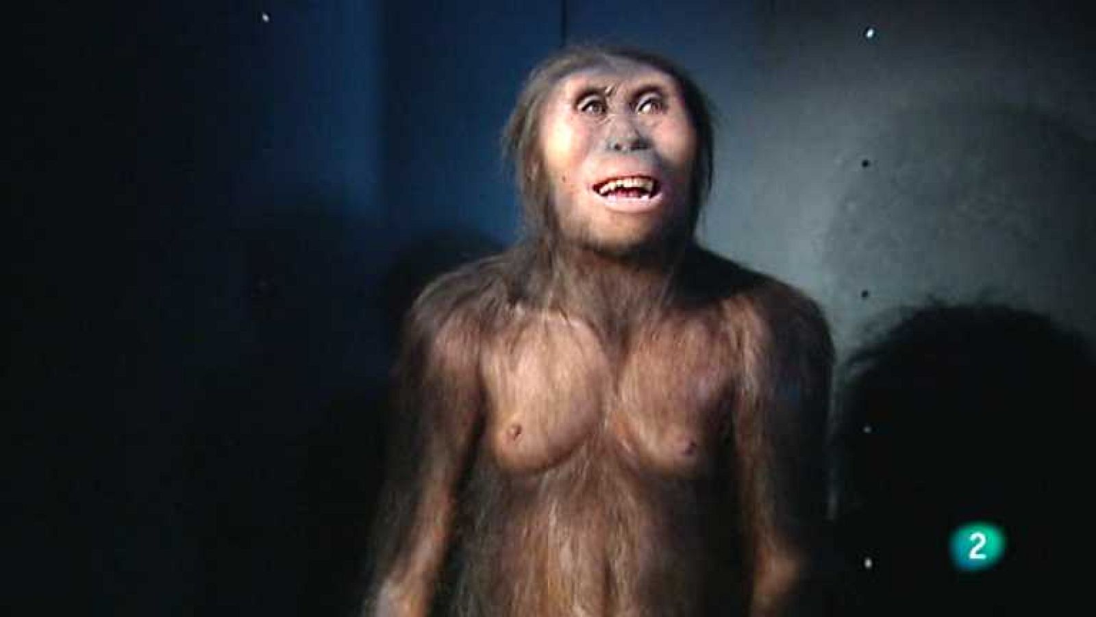 La aventura del saber - 20/09/12 - Ver ahora