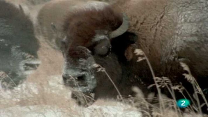 El hombre y la Tierra - Aventura en Canadá