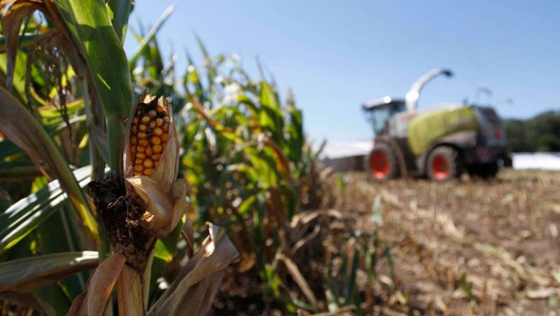 Sequías e inundaciones amenazan con crear otra crisis alimentaria mundial