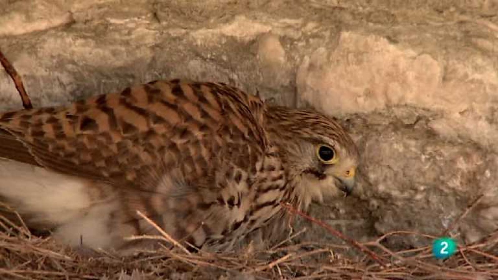 Biodiario - 20/09/12 - Ver ahora