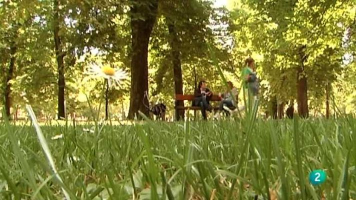 El escarabajo verde - Donde lo verde es capital