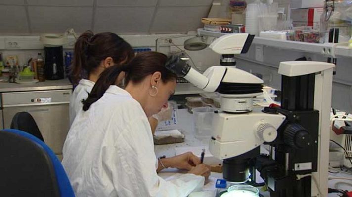 Telediario 1 - Disminuye el presupuesto en I+D+I