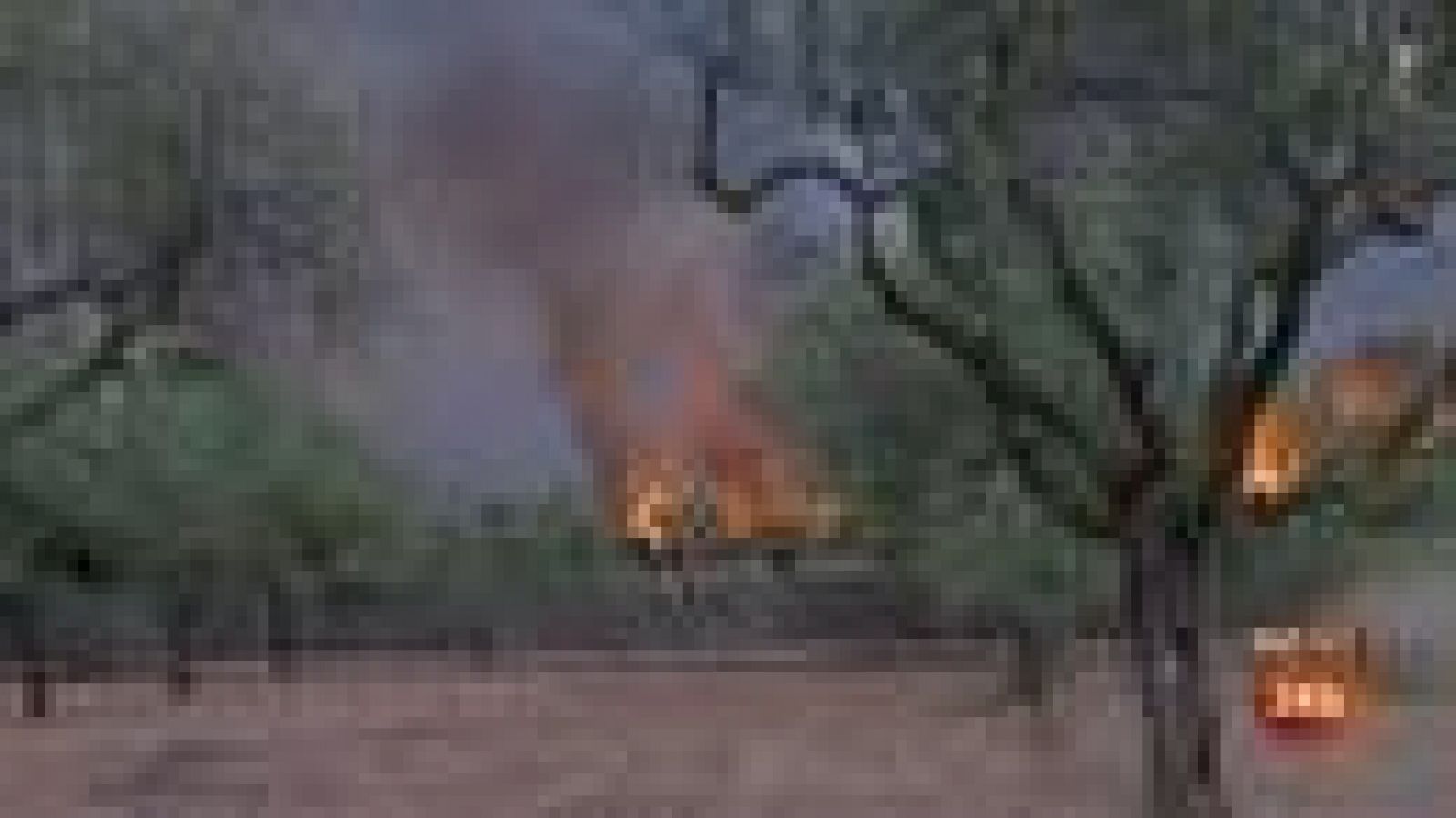 DESALOJO GESTALGAR Y CHULILLA POR INCENDIO