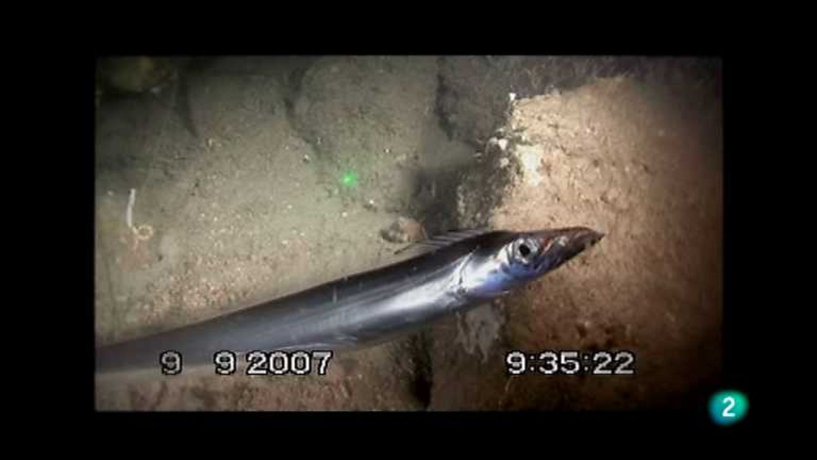 Biodiario - 24/09/12 - Ver ahora