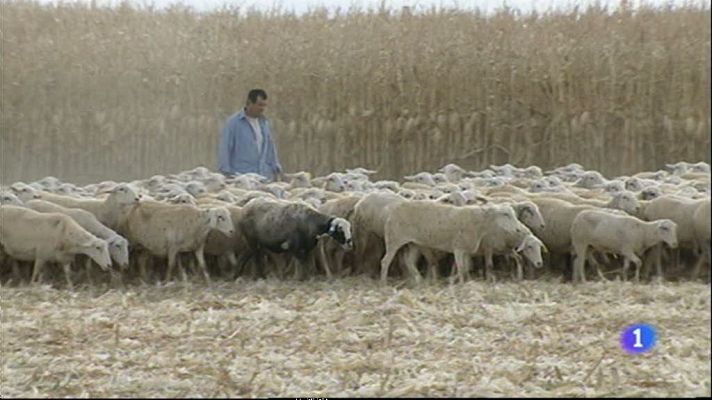 Noticias Aragón - Noticias Aragón - 25/09/12