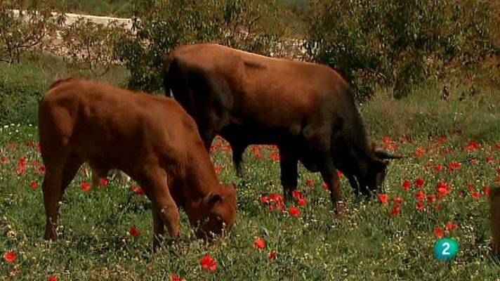 Biodiario - Biodiario - 25/09/12