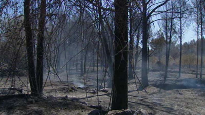 El incendio de Valencia está estabilizado aunque no controlado 