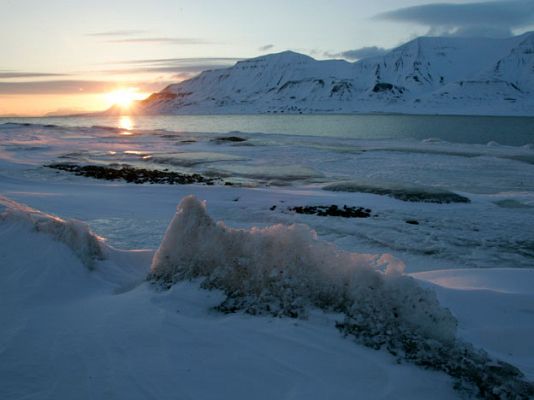 En portada - Científicos españoles  en el Ártico