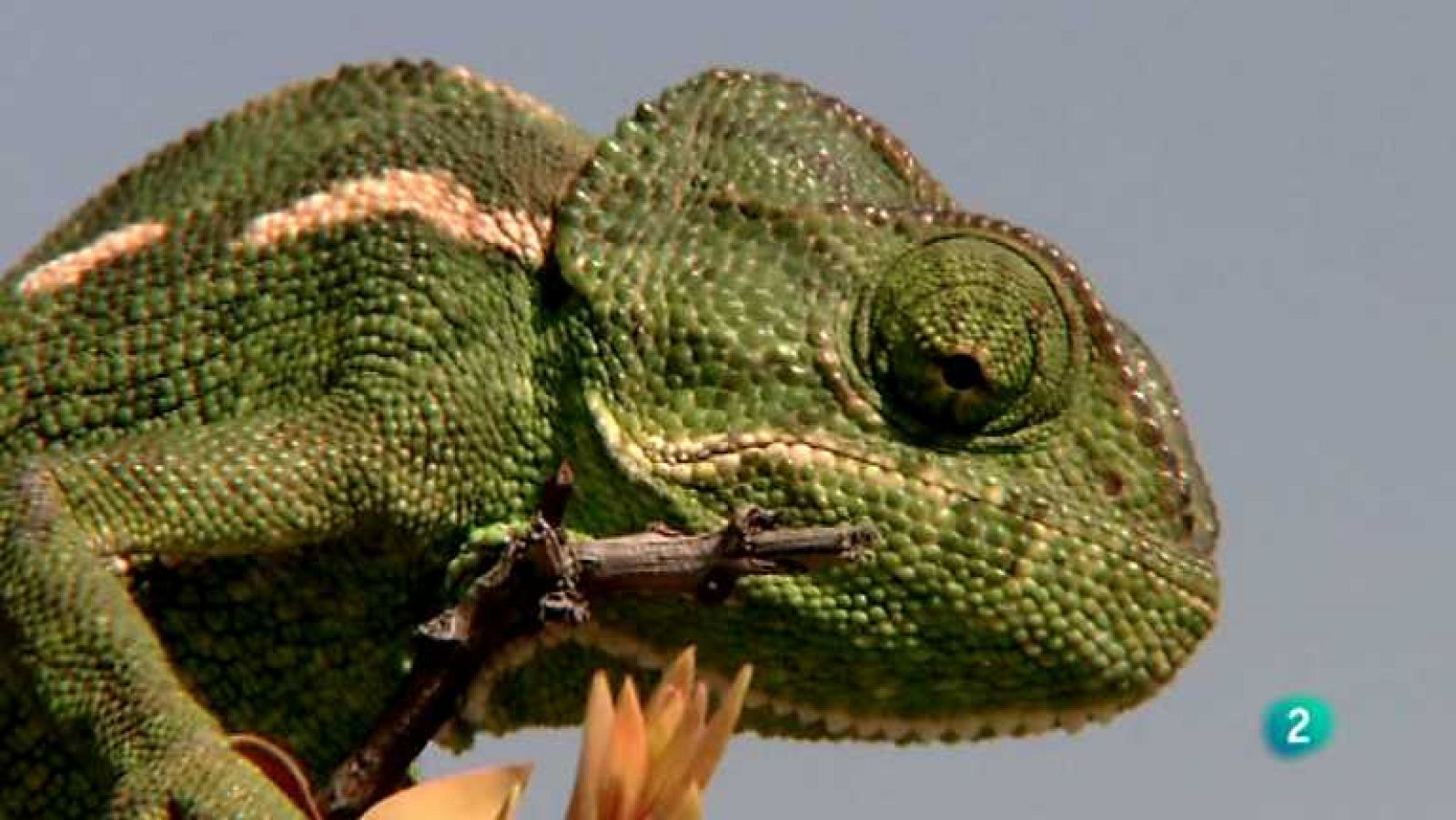 Biodiario - 26/09/12 - Ver ahora