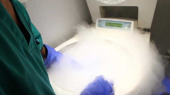 Telediario 1 - Técnica de selección de cromosomas