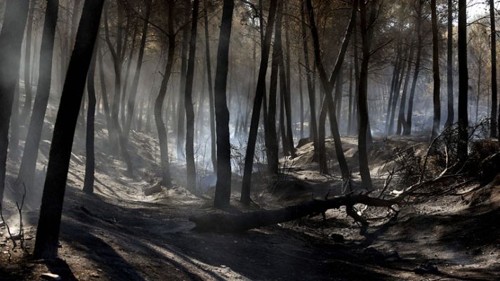 Telediario 1 - Las diferentes fases por las que pasa un incendio forestal