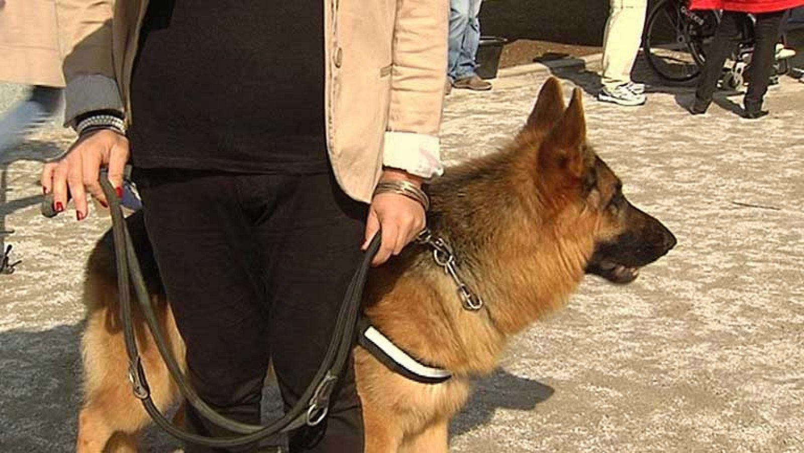 En Oza de los Ríos, se presenta un perro para defender a las mujeres víctima de malos tratos