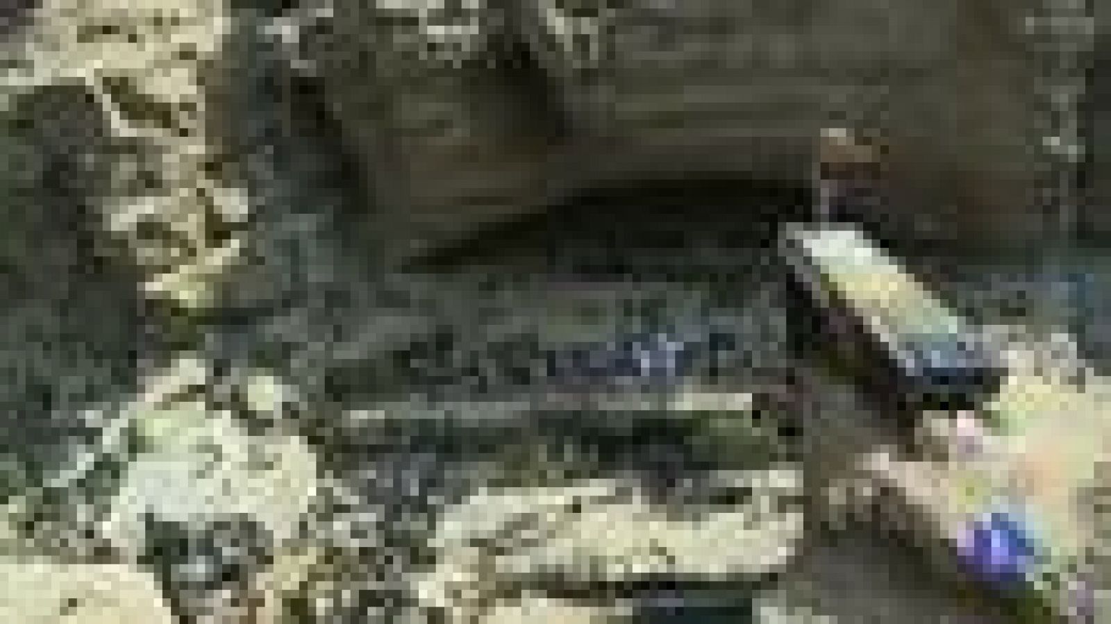 Duelo de altura en el Mundial de clavados