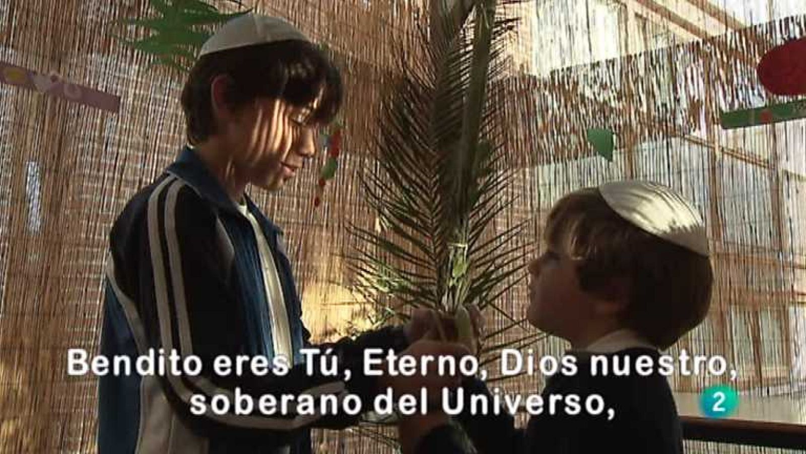 Shalom - La provisionalidad de lo material - Ver ahora 