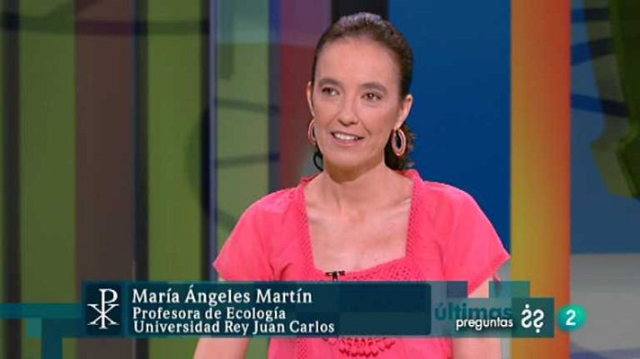 Últimas preguntas - El sentido del asombro