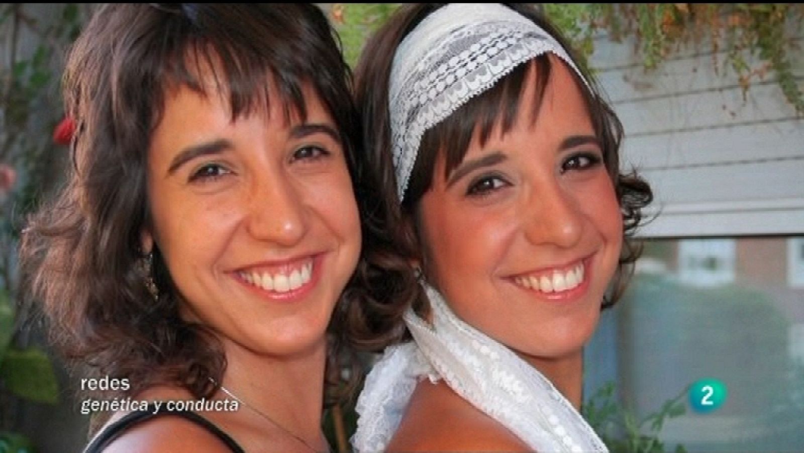 Redes - Los genes que regulan la personalidad (V.O en inglés) - Ver ahora