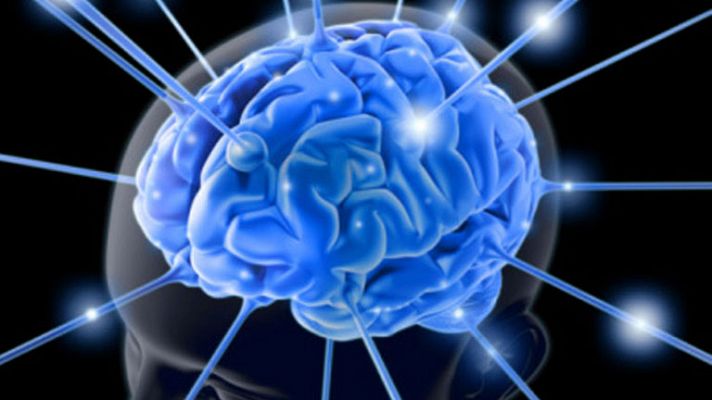 Cerebro sano