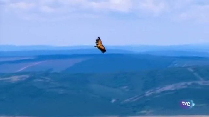 Noticias de Castilla-La Mancha - Noticias Castilla La Mancha en 2' 801/10/2012)