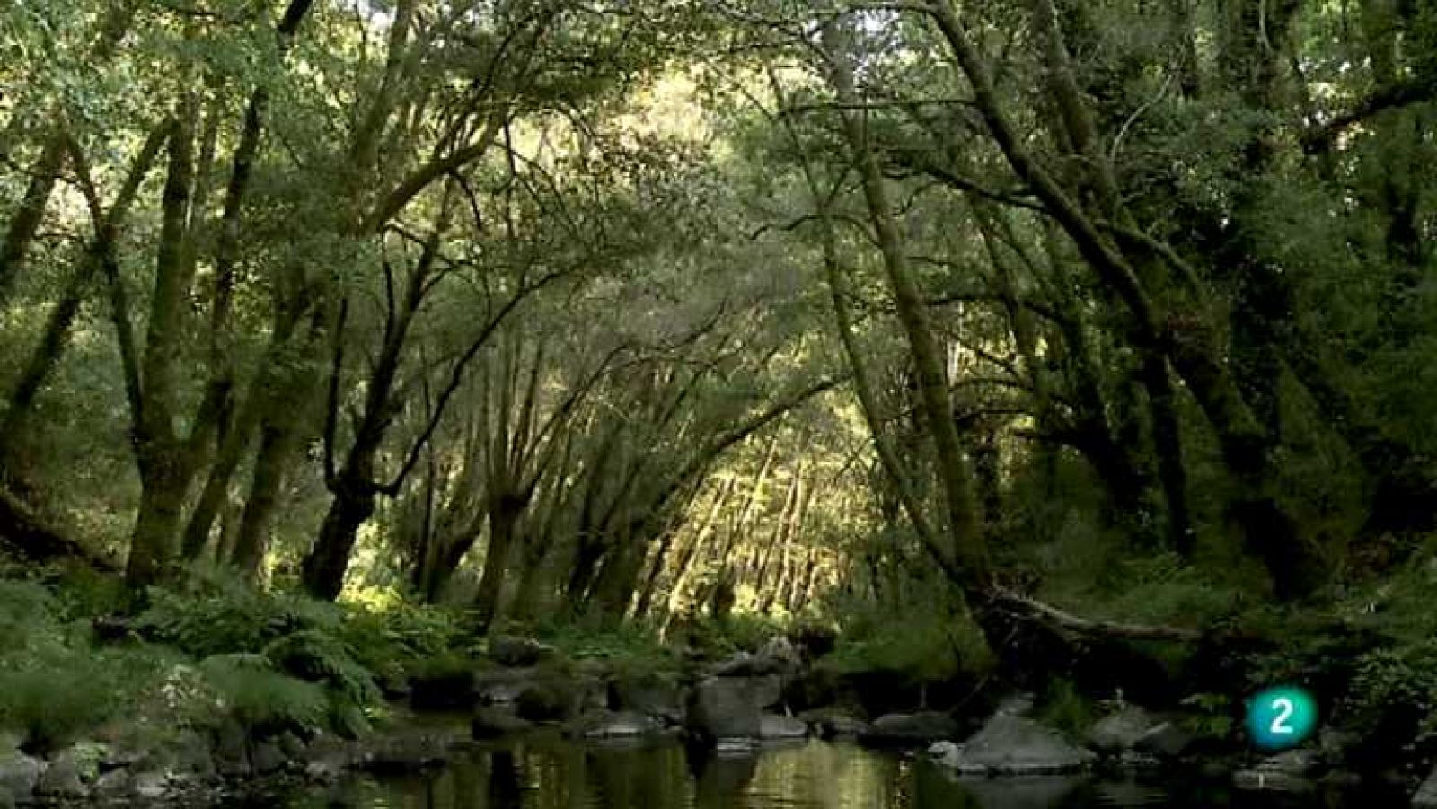 Biodiario - 01/10/12 - Ver ahora
