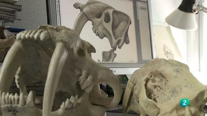 Biodiario - Biodiario - 02/10/12