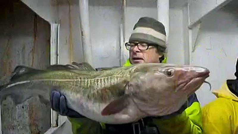 'Ni un pez por la borda'