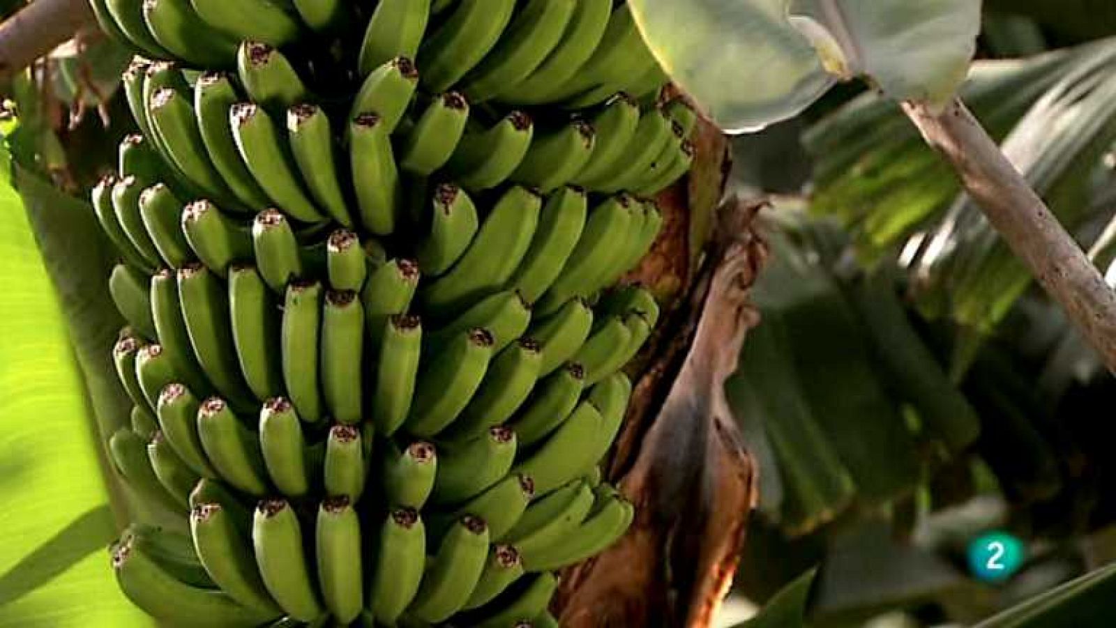 Biodiario - 03/10/12 - ver ahora