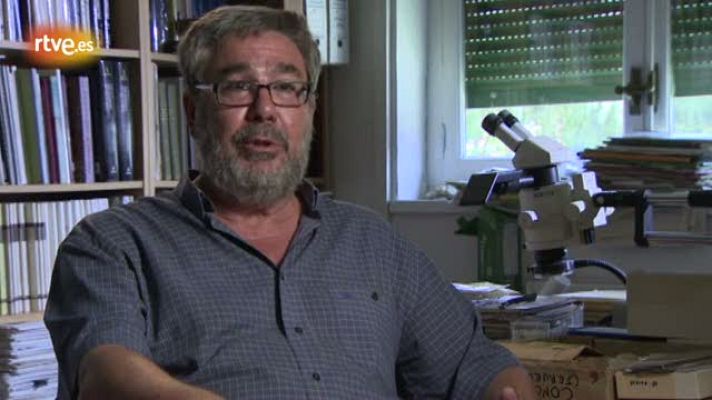 Crónicas - La excepcionalidad de Batallones