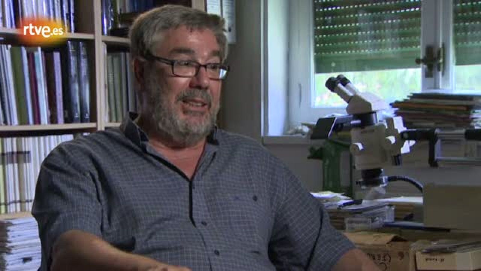 Jorge Morales, desmitificando el trabajo del paleontólogo - Crónicas | Ver