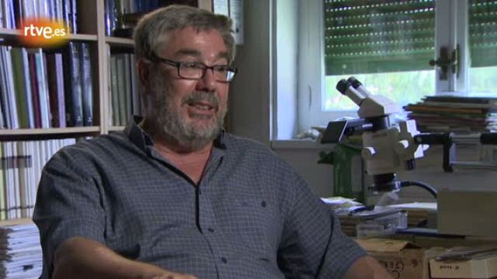 Crónicas - El trabajo del paleontólogo