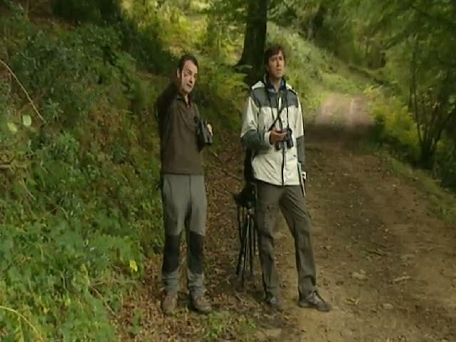 España directo - Berrea | Ver