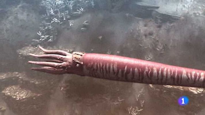 Documenta2 - Rayos letales