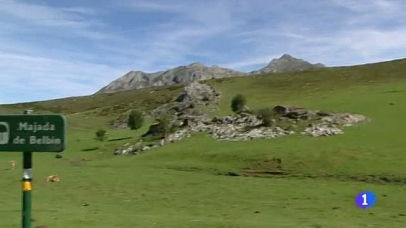 Polémica en Asturias por la matanza de lobos ibéricos