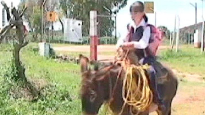 Telediario 1 - México dona 26 burros para familias aisladas en la sierra