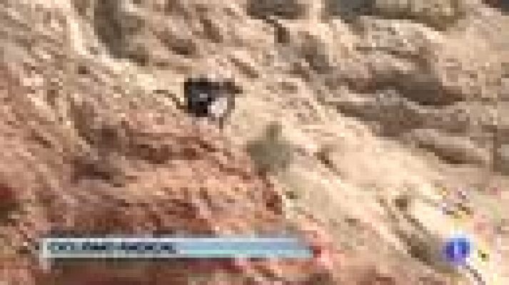 Telediario 1 - Kurt Sorge, el rey del ciclismo radical