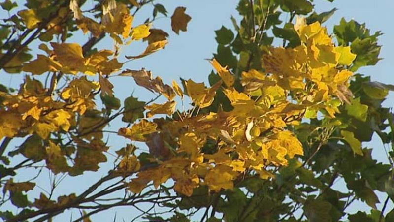 Lluvias de débiles a moderadas en Galicia y nordeste de Cataluña