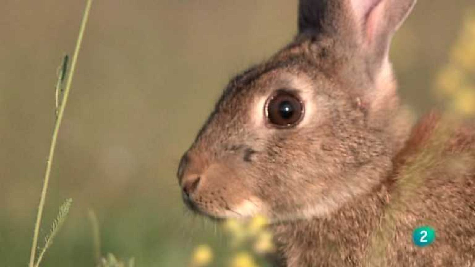 Biodiario - 09/10/12 - ver ahora