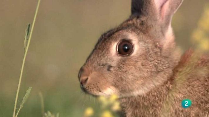 Biodiario - Biodiario - 09/10/12