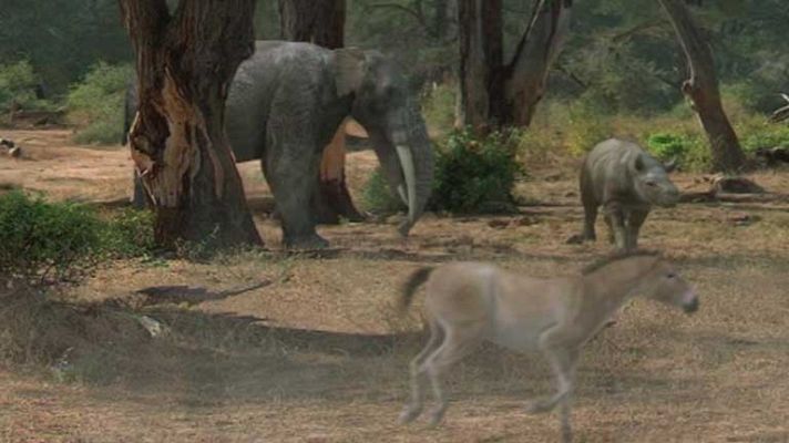 Telediario 1 - Yacimiento único