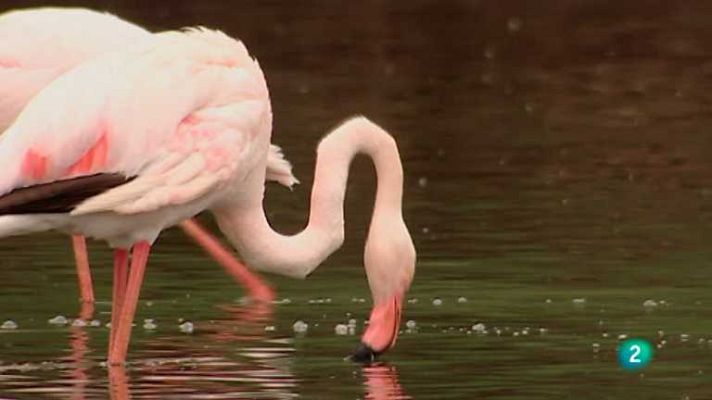 Biodiario - Biodiario - 11/10/12