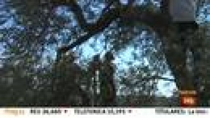 Telediario 1 - Comienza la recogida de aceituna en los territorios palestinos, clave en su débil economía