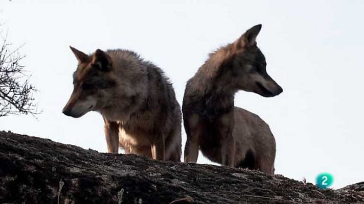 Biodiario - Biodiario - 15/10/12