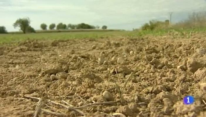 Noticias Aragón - Noticias Aragón - 16/10/12